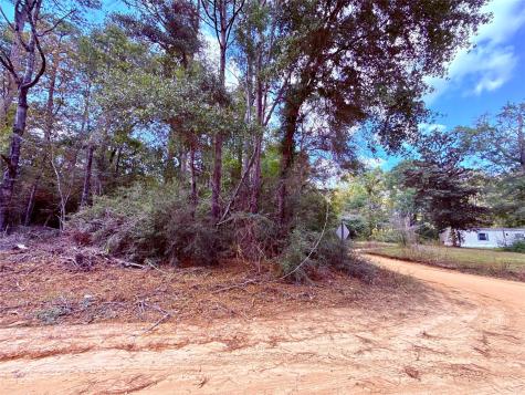 0 Warpath Drive Livingston TX 77351