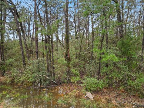 Tbd Urlene Lane Huntsville TX 77320