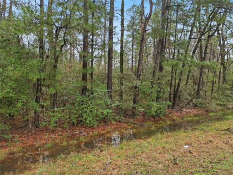 Tbd Urlene Lane Huntsville TX 77320