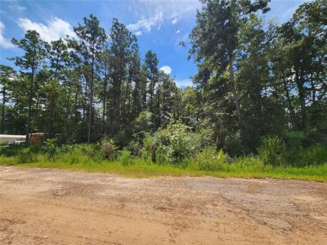 01 Hollybrook Drive Plantersville TX 77363