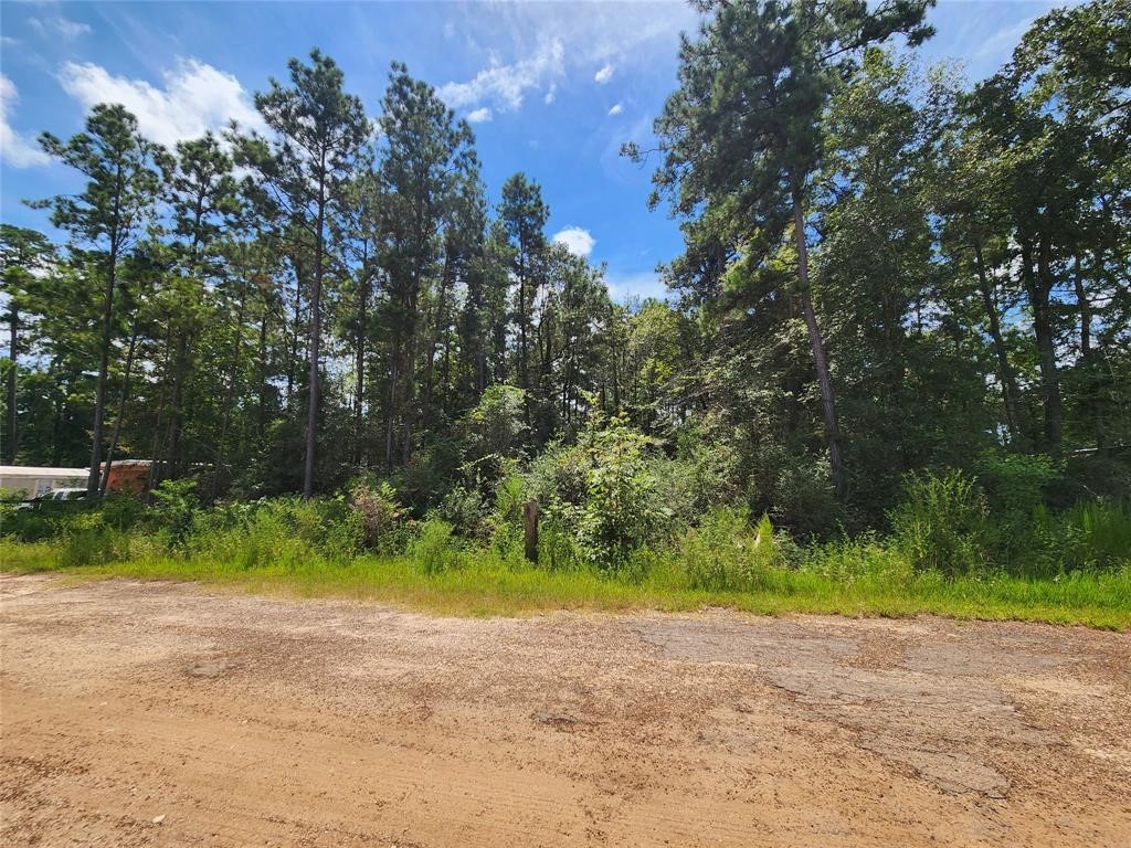 01 Hollybrook Drive Plantersville TX 77363