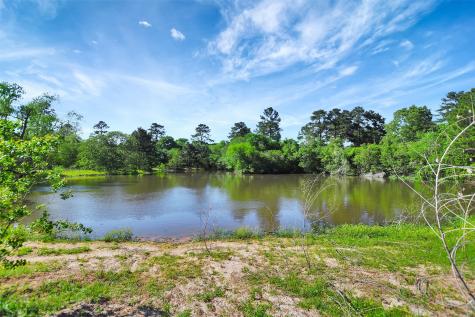 19830 Turtle Dove Lane Magnolia TX 77355