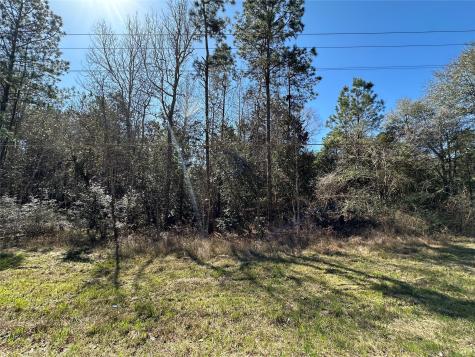 Tbd Road 2727 Cleveland TX 77327