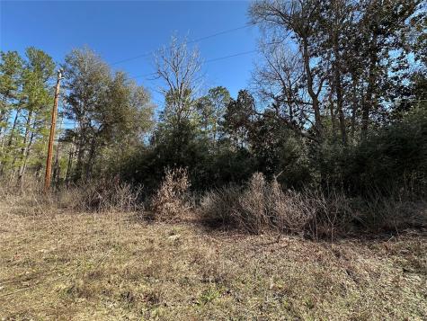 Tbd Road 2727 Cleveland TX 77327