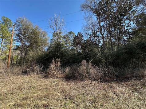 Tbd Road 2727 Cleveland TX 77327