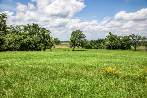 0000 Egypt Lane Washington TX 77880