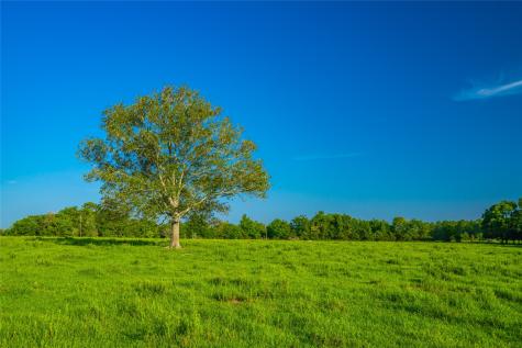 0 Farm To Market 256 Woodville TX 75979