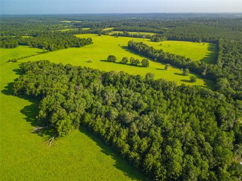 0 Farm To Market 256 Woodville TX 75979