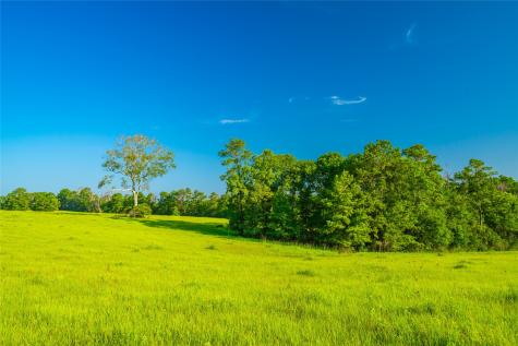 0 Farm To Market 256 Woodville TX 75979