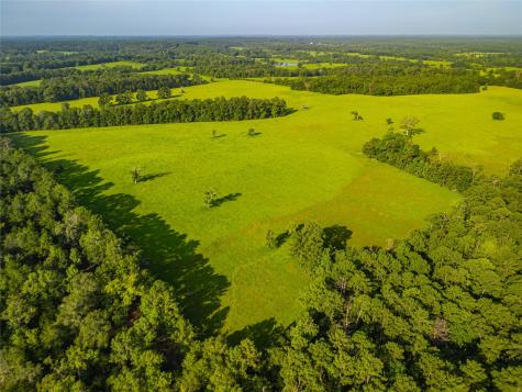 0 Farm To Market 256 Woodville TX 75979