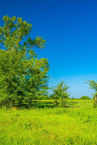 0 Farm To Market 256 Woodville TX 75979