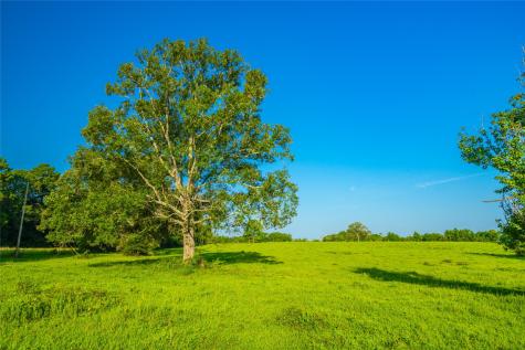 0 Farm To Market 256 Woodville TX 75979