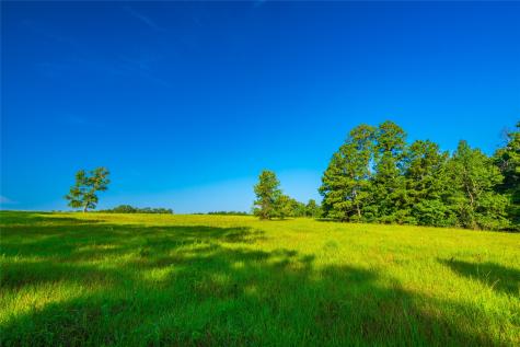 0 Farm To Market 256 Woodville TX 75979