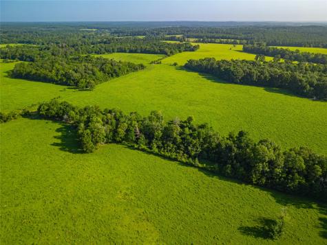 0 Farm To Market 256 Woodville TX 75979