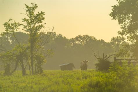 0 Farm To Market 256 Woodville TX 75979