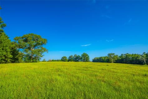 0 Farm To Market 256 Woodville TX 75979
