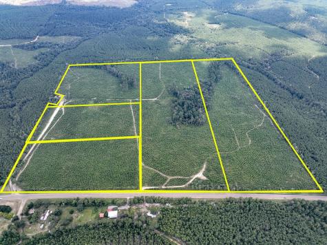 2 County Road 235 Browndell TX 75931