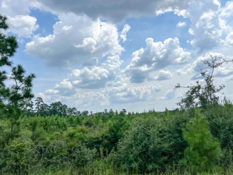 2 County Road 235 Browndell TX 75931