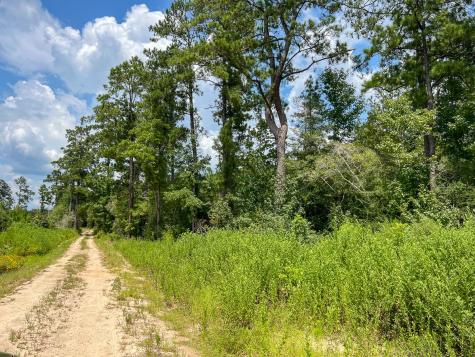 2 County Road 235 Browndell TX 75931