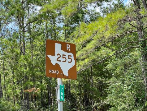 2 County Road 235 Browndell TX 75931