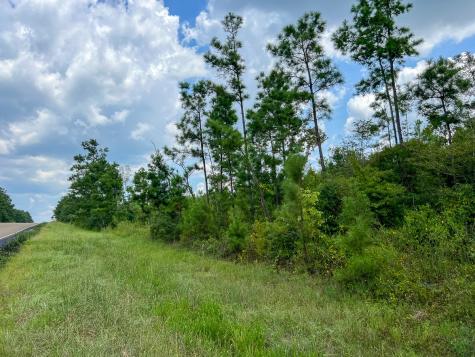2 County Road 235 Browndell TX 75931