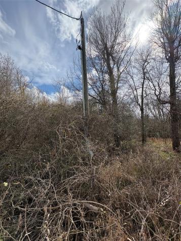 1649 Stone Street Bedias TX 77831