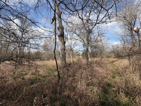 1649 Stone Street Bedias TX 77831