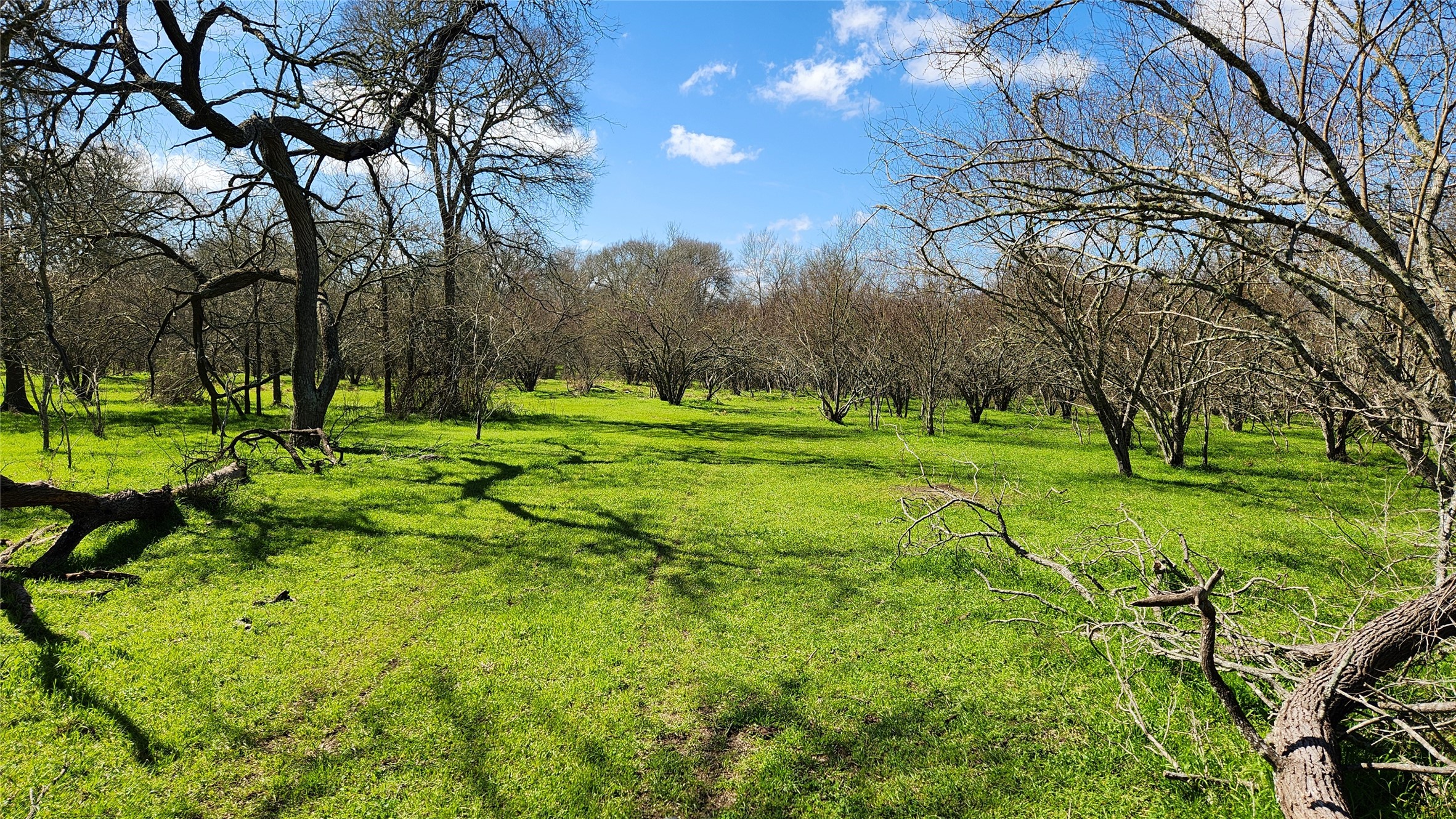 40499 Garrett Road Brookshire TX 77423