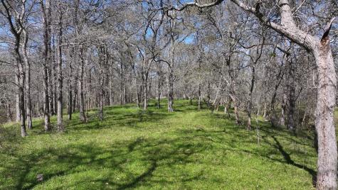 40499 Garrett Road Brookshire TX 77423