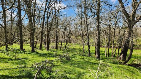 40499 Garrett Road Brookshire TX 77423