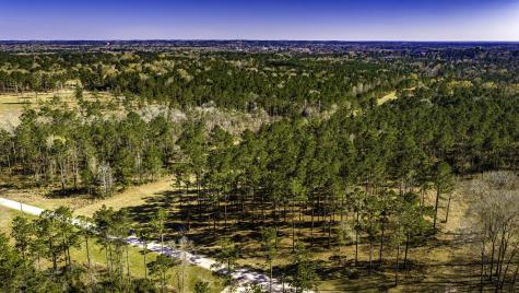 Tbd Rolling Pines Drive Livingston TX 77351
