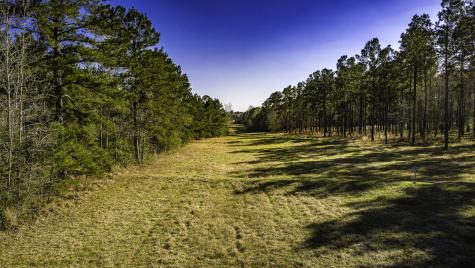 Tbd Rolling Pines Drive Livingston TX 77351
