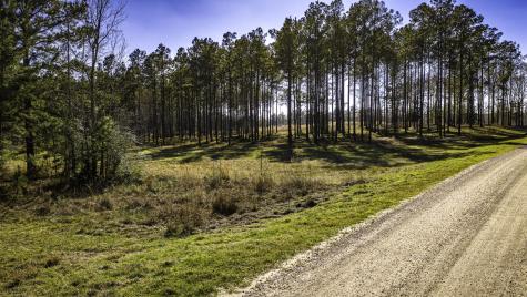 Tbd Rolling Pines Drive Livingston TX 77351