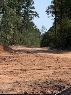 30227 Oak Lane Magnolia TX 77354