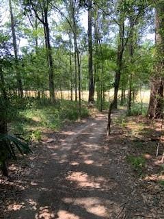 30227 Oak Lane Magnolia TX 77354