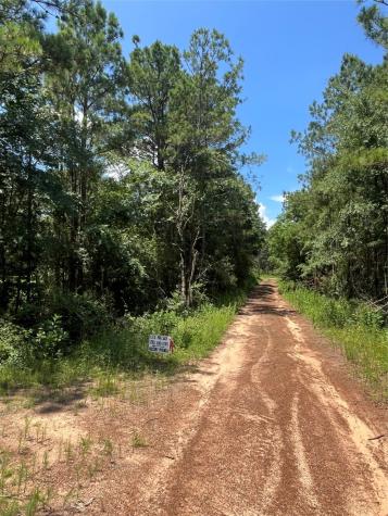12931 Hickory Branch Lane Plantersville TX 77363