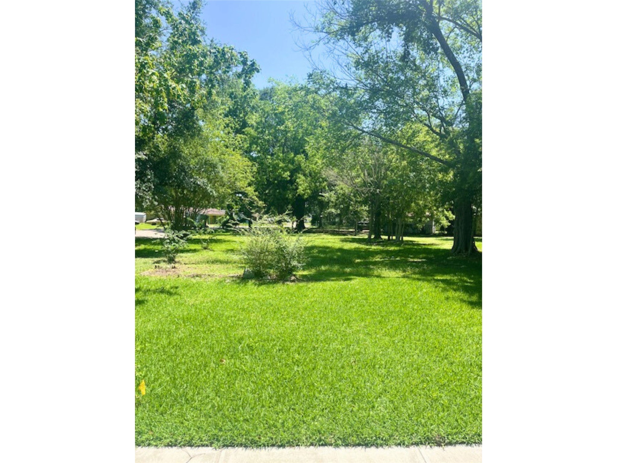 490 Adams Street Beaumont TX 77705
