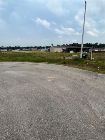 2023 Washoe Lake Court Conroe TX 77306