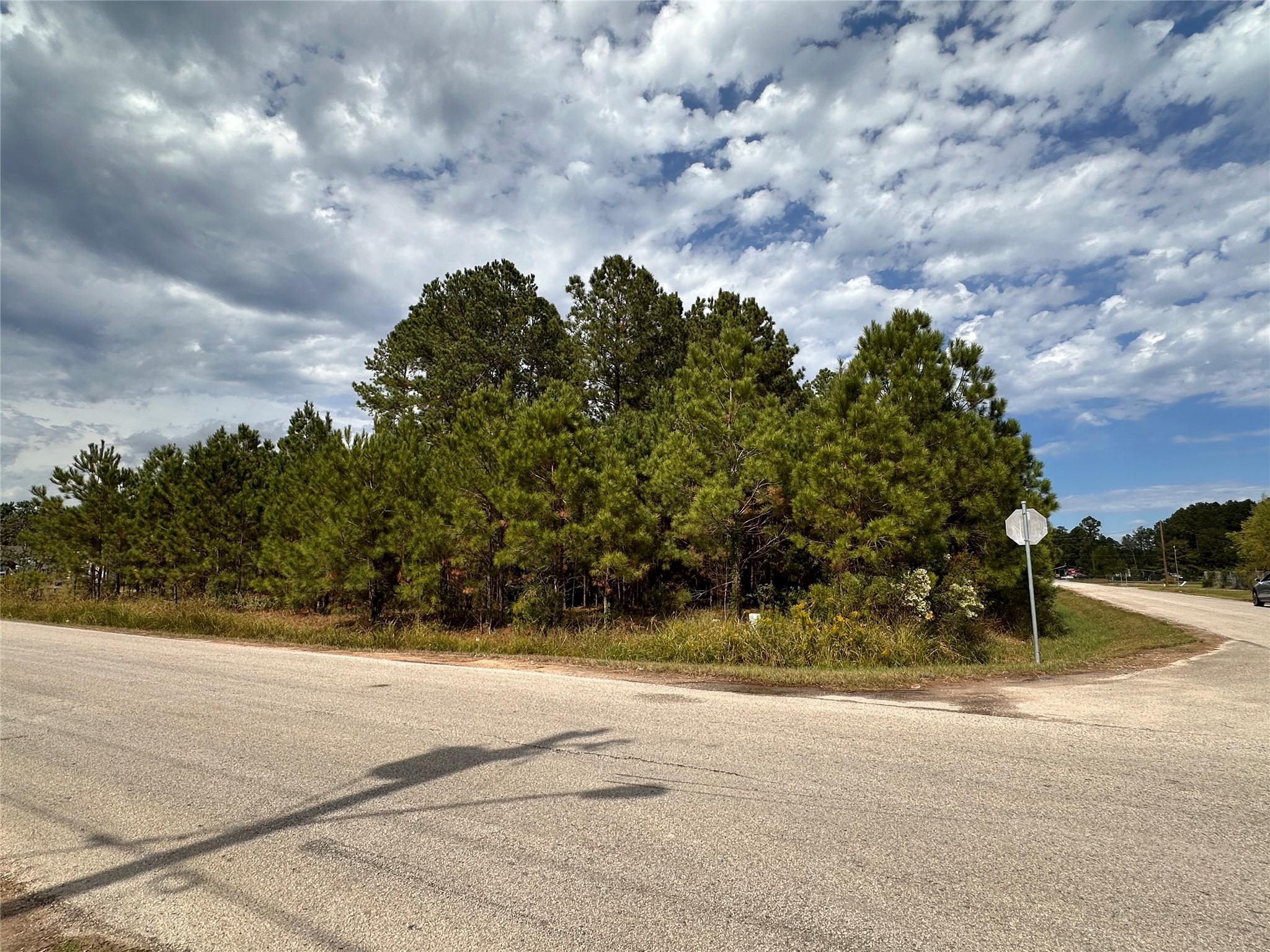 3116 County Road 3479b Cleveland TX 77327