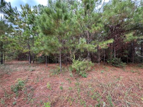 3116 County Road 3479b Cleveland TX 77327