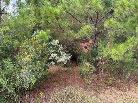 3116 County Road 3479b Cleveland TX 77327