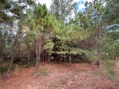 3116 County Road 3479b Cleveland TX 77327