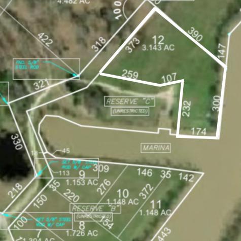Lot 12 Lake Livingston Lane Trinity TX 75862