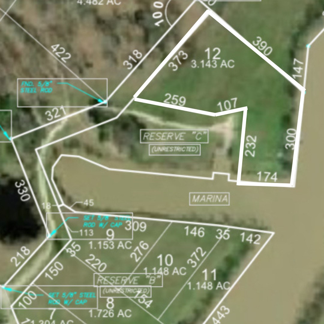 Lot 12 Lake Livingston Lane Trinity TX 75862