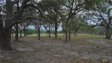 000 Garcitas Creek Ranch Road Inez TX 77968