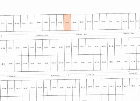 0 Marshal Avenue Holiday Lakes TX 77515