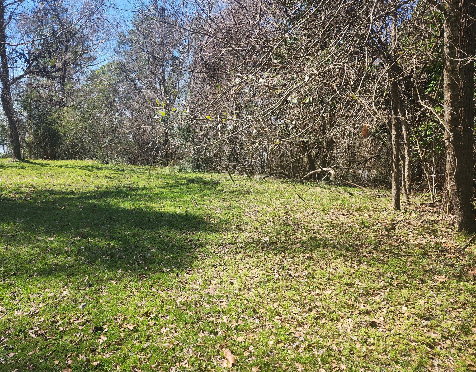 000 Linda Chain Road Livingston TX 77351
