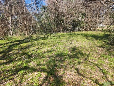 000 Linda Chain Road Livingston TX 77351