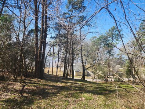 000 Linda Chain Road Livingston TX 77351