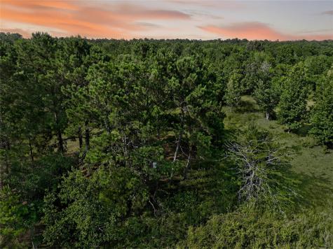 7449 Highway 61 Highway Hankamer TX 77560